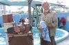 Dolphin Tale picture