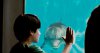 Dolphin Tale picture