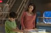 Dolphin Tale picture