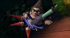 Gnomeo & Juliet picture