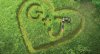 Gnomeo & Juliet picture