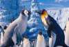 Happy Feet Two picture