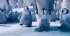 Happy Feet Two picture