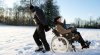 Intouchables picture