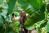 Pirates of the Caribbean: On Stranger Tides picture