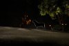 Rosewood Lane picture