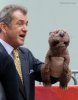 The Beaver picture
