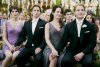 The Twilight Saga: Breaking Dawn - Part 1 picture