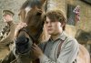 War Horse picture