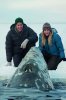 Big Miracle picture