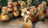 Ice Age 4: Continental Drift picture