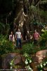 Journey 2: The Mysterious Island picture