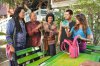เก๋าเกรียน picture
