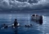 Life of Pi picture