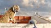 Life of Pi picture