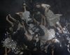 Sadako 3D picture