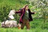 The Hobbit: An Unexpected Journey picture