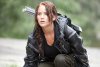 The Hunger Games picture