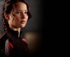 The Hunger Games picture