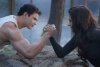 The Twilight Saga: Breaking Dawn - Part 2 picture