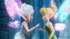 TinkerBell and the Secret of the Wings picture