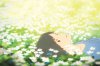 Wolf Children picture