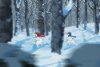 Wolf Children picture