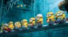 Despicable Me 2 picture