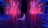 Frozen picture