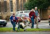 Jackass Presents: Bad Grandpa picture