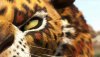 Khumba picture
