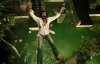 Ram-Leela picture