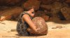 The Croods picture