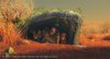 The Croods picture