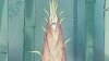 The Tale of The Princess Kaguya picture