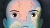 The Wind Rises picture