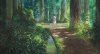 The Wind Rises picture