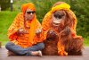 Yamla Pagla Deewana 2 picture