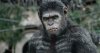 Dawn of the Planet of the Apes picture