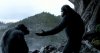 Dawn of the Planet of the Apes picture