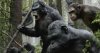 Dawn of the Planet of the Apes picture