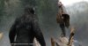 Dawn of the Planet of the Apes picture