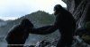 Dawn of the Planet of the Apes picture