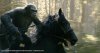 Dawn of the Planet of the Apes picture