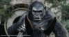 Dawn of the Planet of the Apes picture