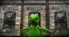 Muppets Most Wanted picture