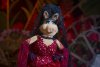 Muppets Most Wanted picture