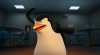 Penguins of Madagascar picture