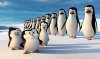 Penguins of Madagascar picture