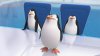 Penguins of Madagascar picture